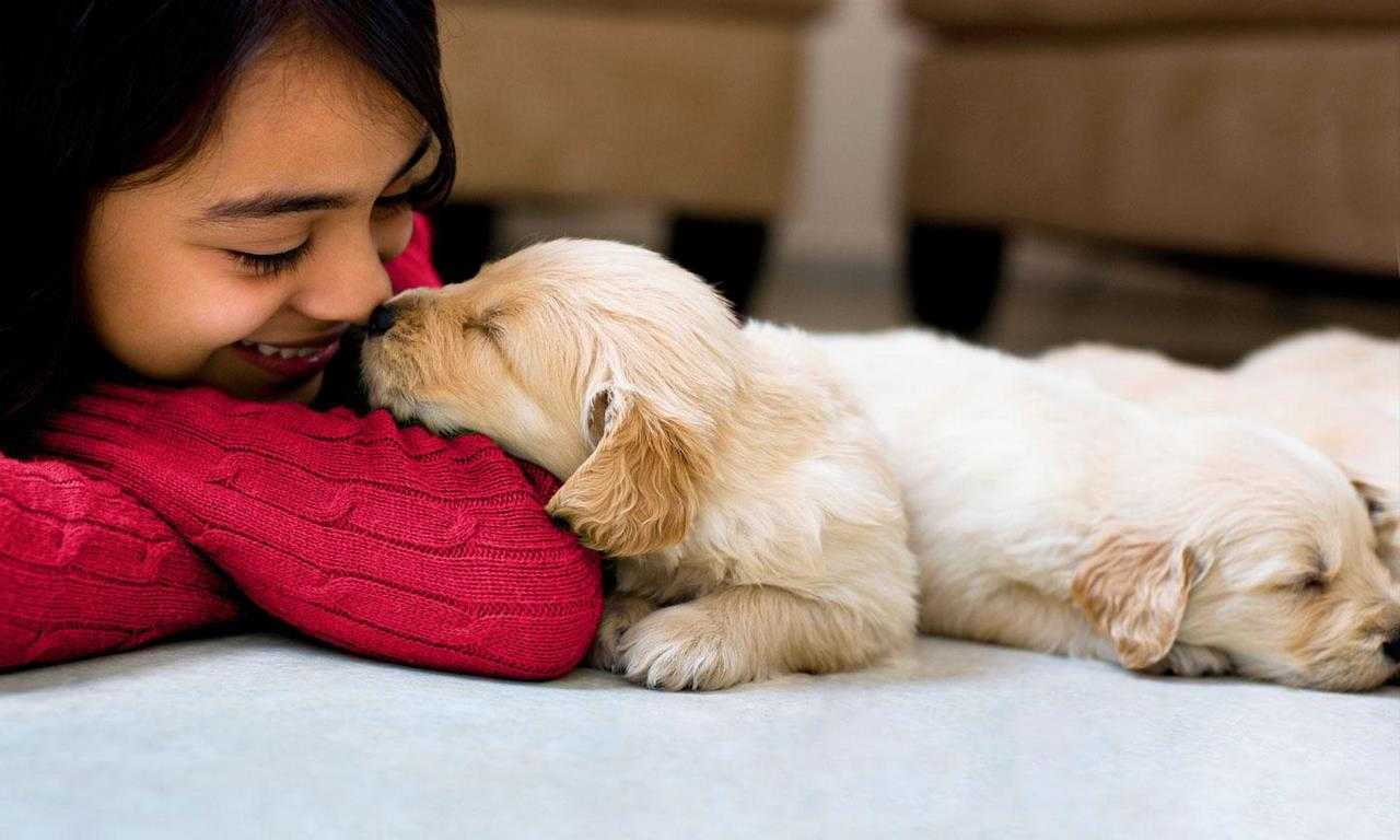 Cute Small Pets to Adopt And The Benefits Of Adopting Them